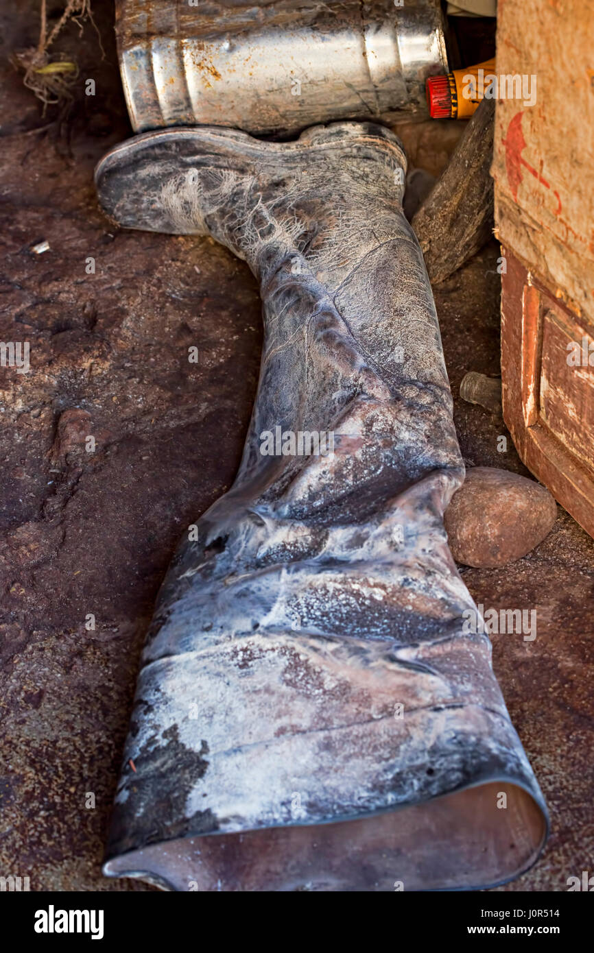 Wellington boot in mud hi-res stock photography and images - Alamy