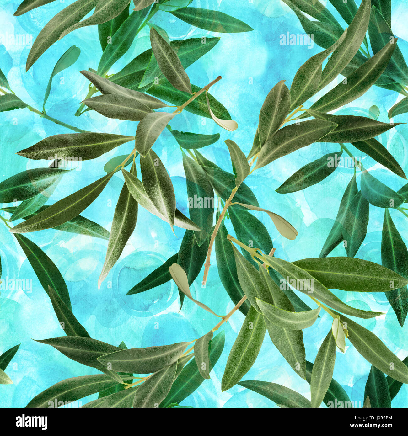 A seamless pattern with olive tree branches on a vibrant teal ...