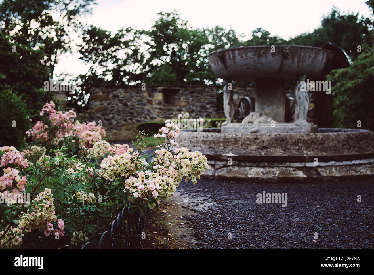 Old fountain with flowers blooming in the foreground in the gardens of the Czocha castle in Poland. Stock Photo