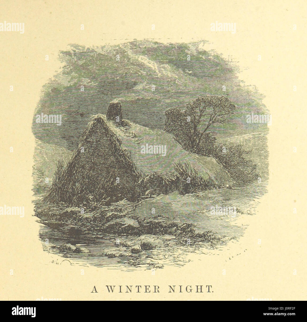 'The Illustrated Family Burns' includes an original memoir of the Burns ...