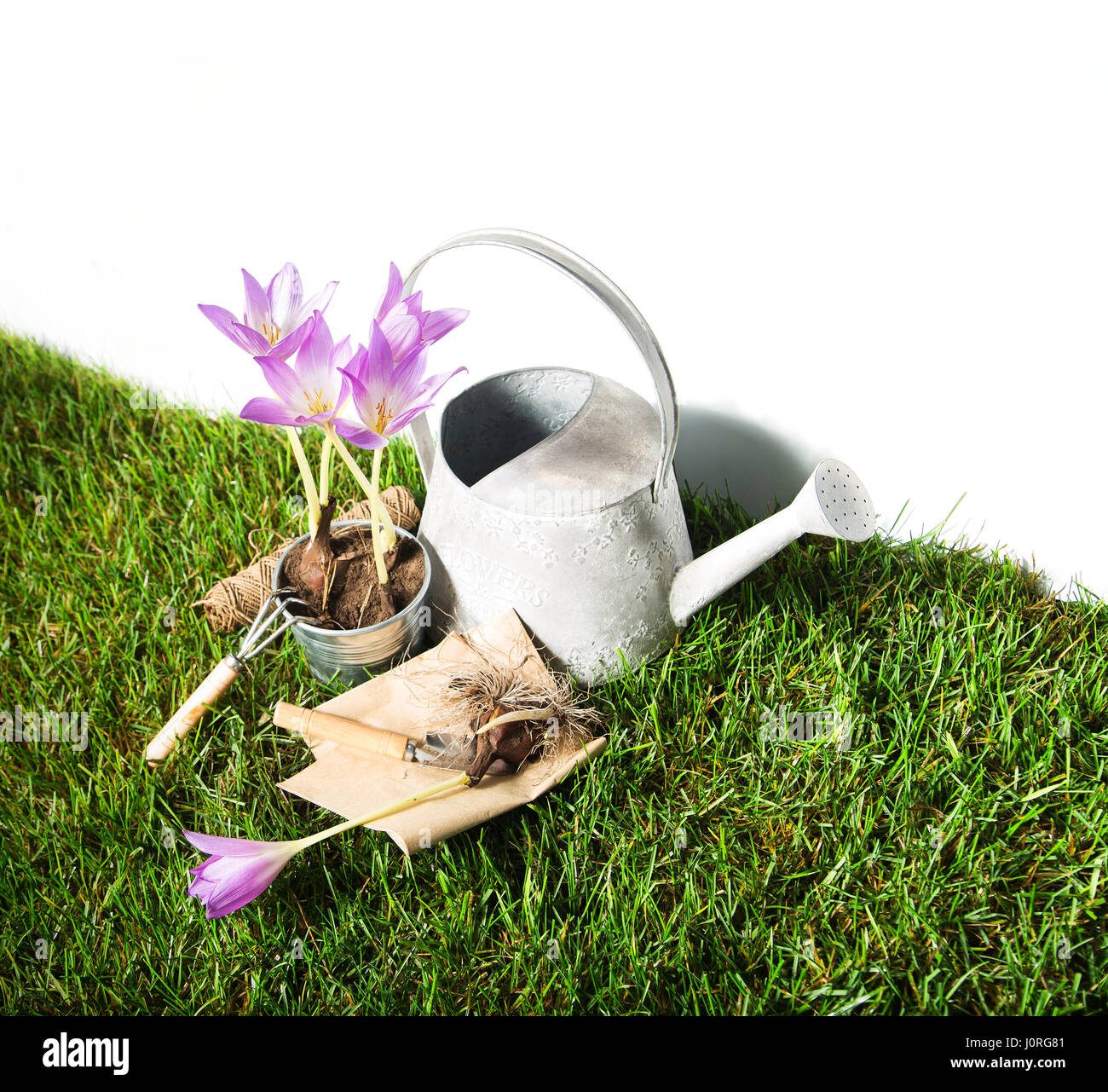 Gardening idea tools purple flower in a pot stock photo alamy