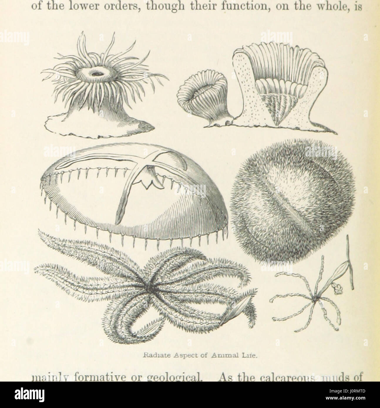 This book sketches an outline of the world’s life-system, exploring the ...