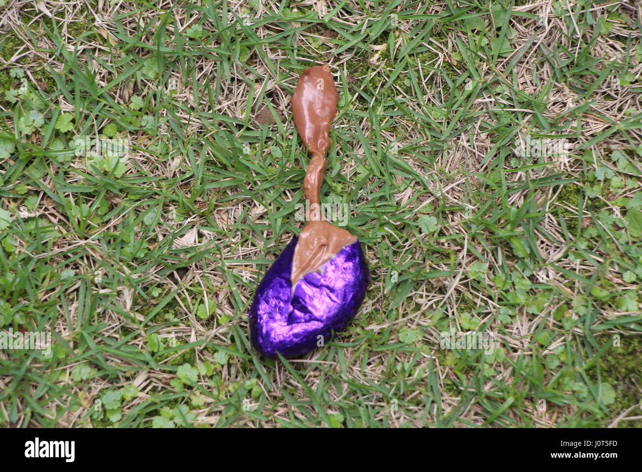 During an Easter egg hunt in Hong Kong, a chocolate egg in blue