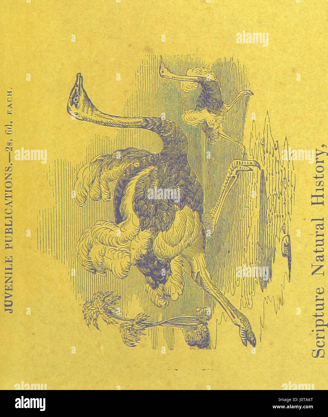 This work is a collection of humorous tales and riddles aimed at young ...