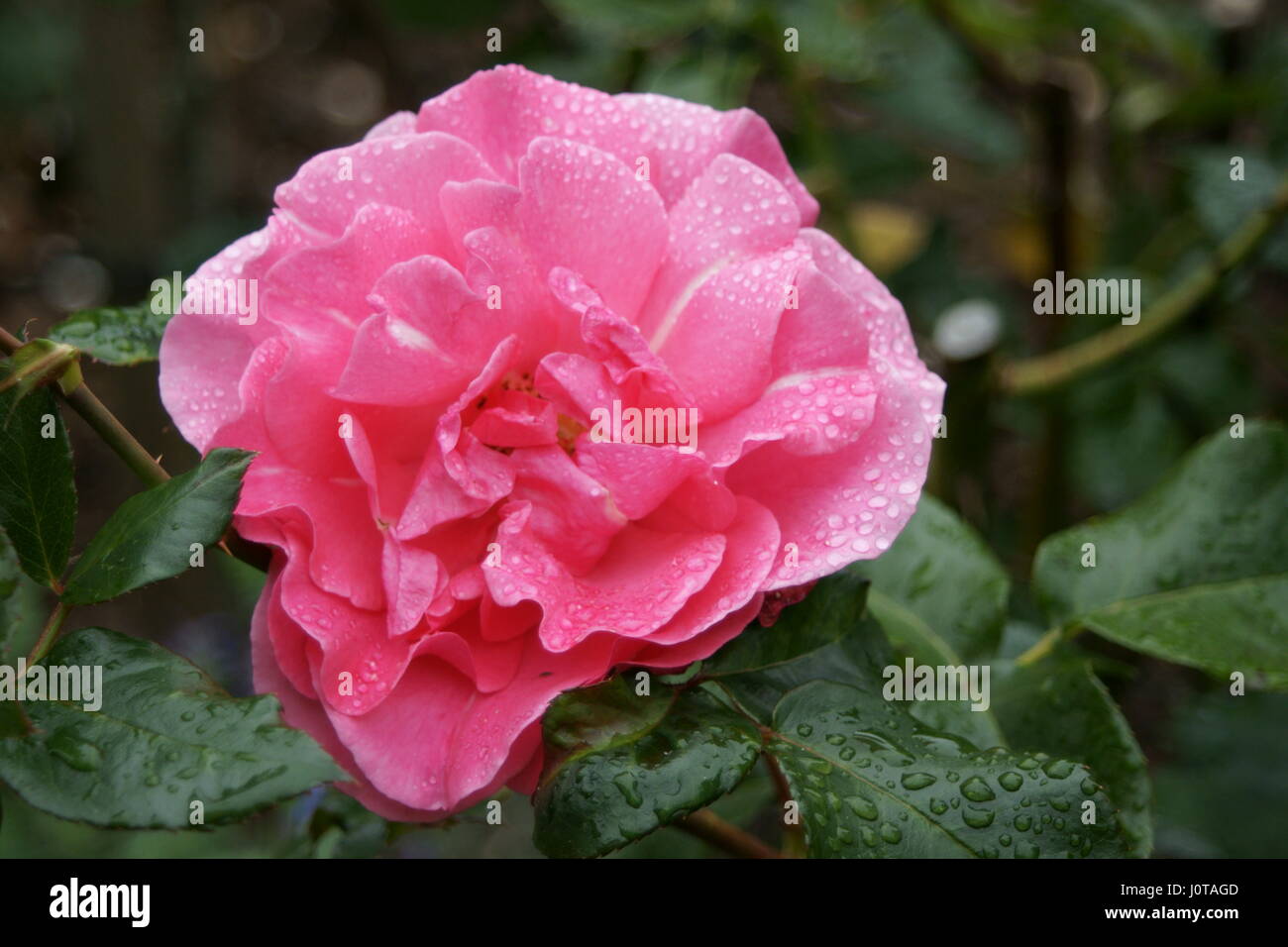 Tourism romance hi-res stock photography and images - Alamy