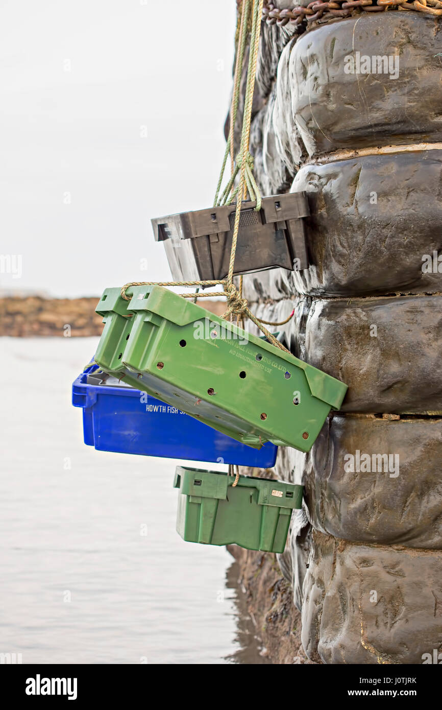Plastic containers with seafood hanging on ropes by the ocean Stock