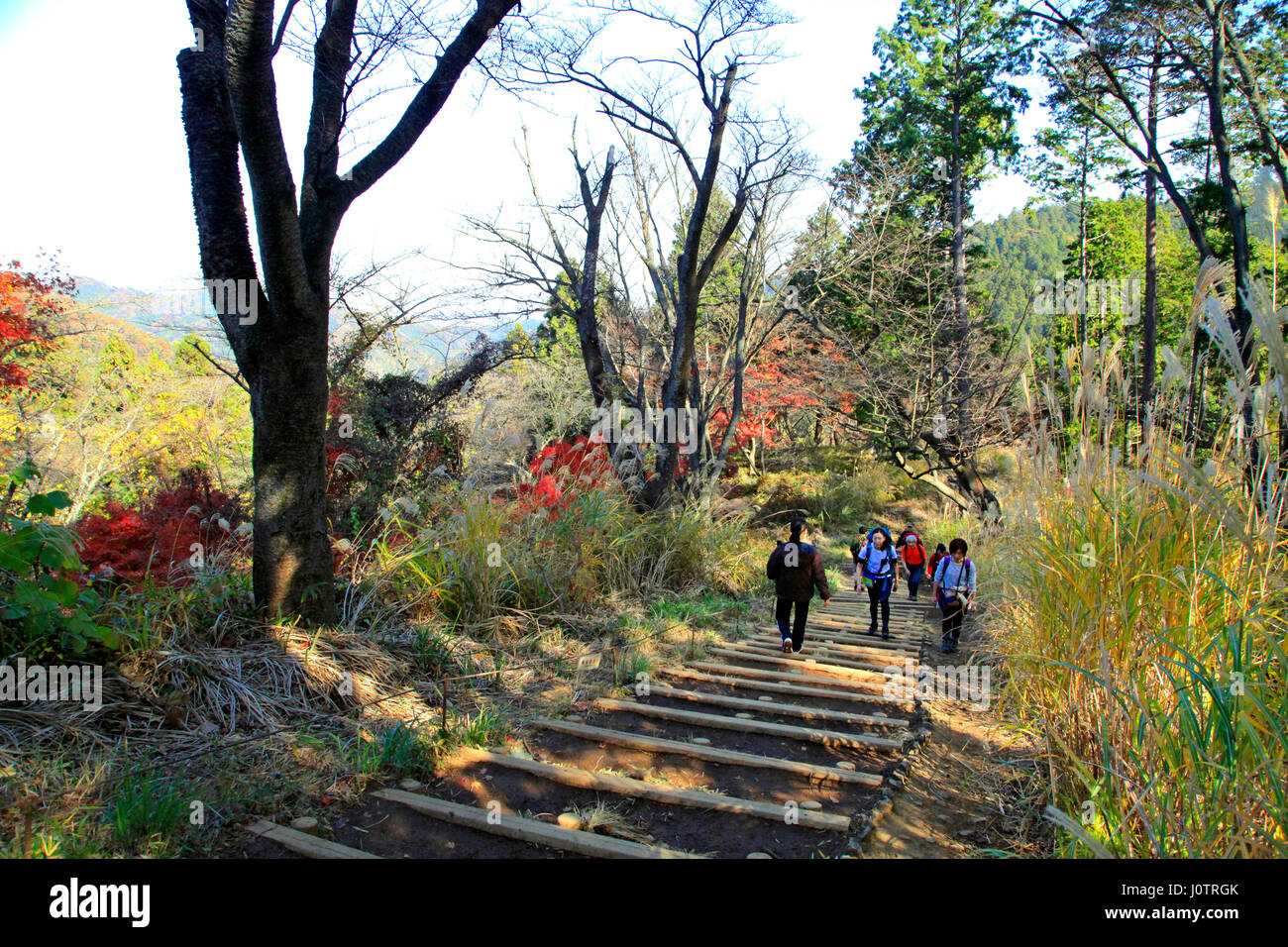 Mount Takao Trail Hachioji Tokyo Japan Stock Photo Alamy