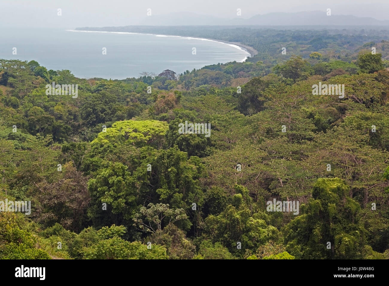 Tropical rainforest along a bay on Costa Rica's Pacific Ocean coast Stock Photo