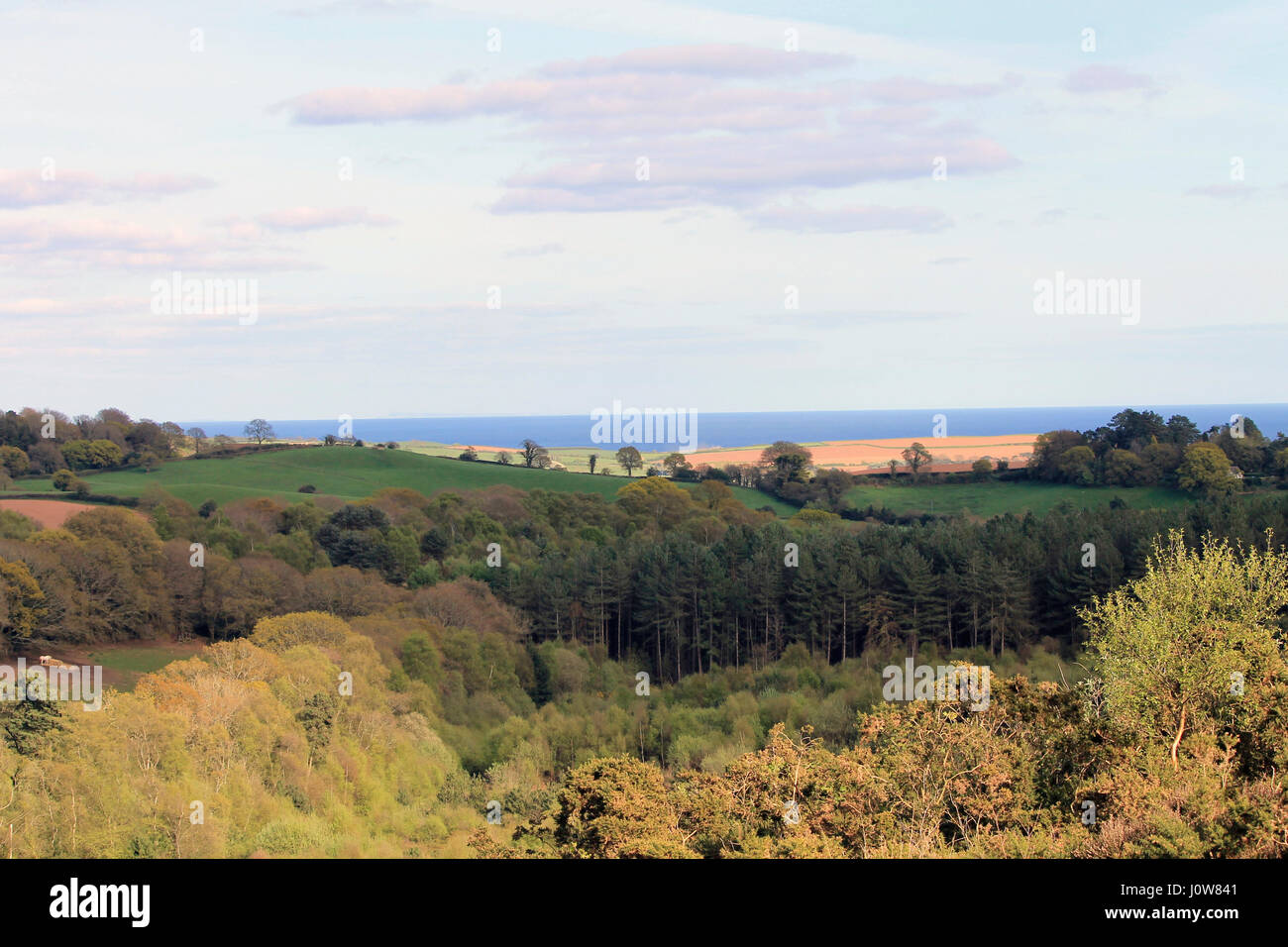 Devon country side Stock Photo - Alamy