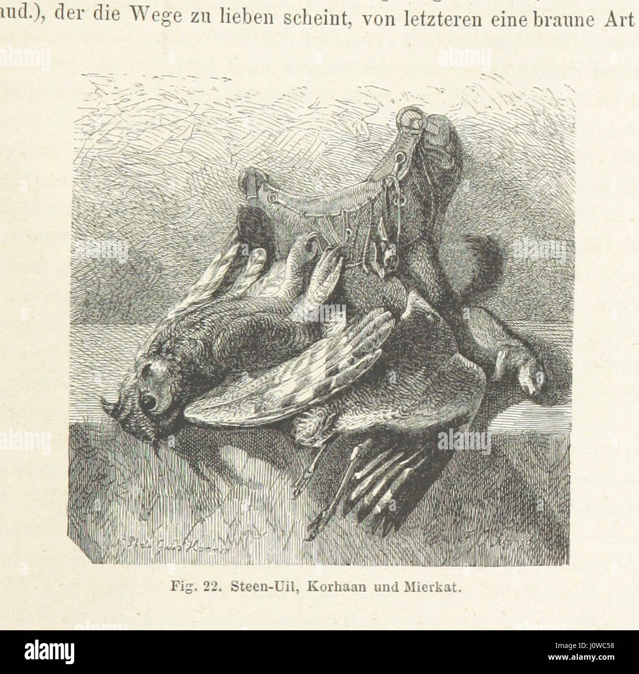 'Drei Jahre in Süd-Afrika' is a travel sketchbook compiling notes from ...