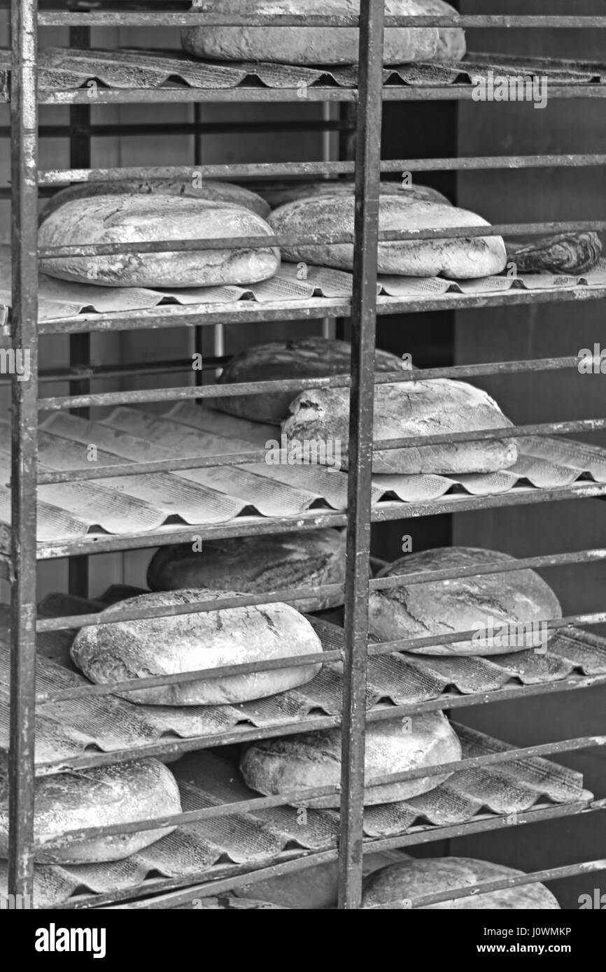 Freshly baked bread on bakery shelf rack Stock Photo