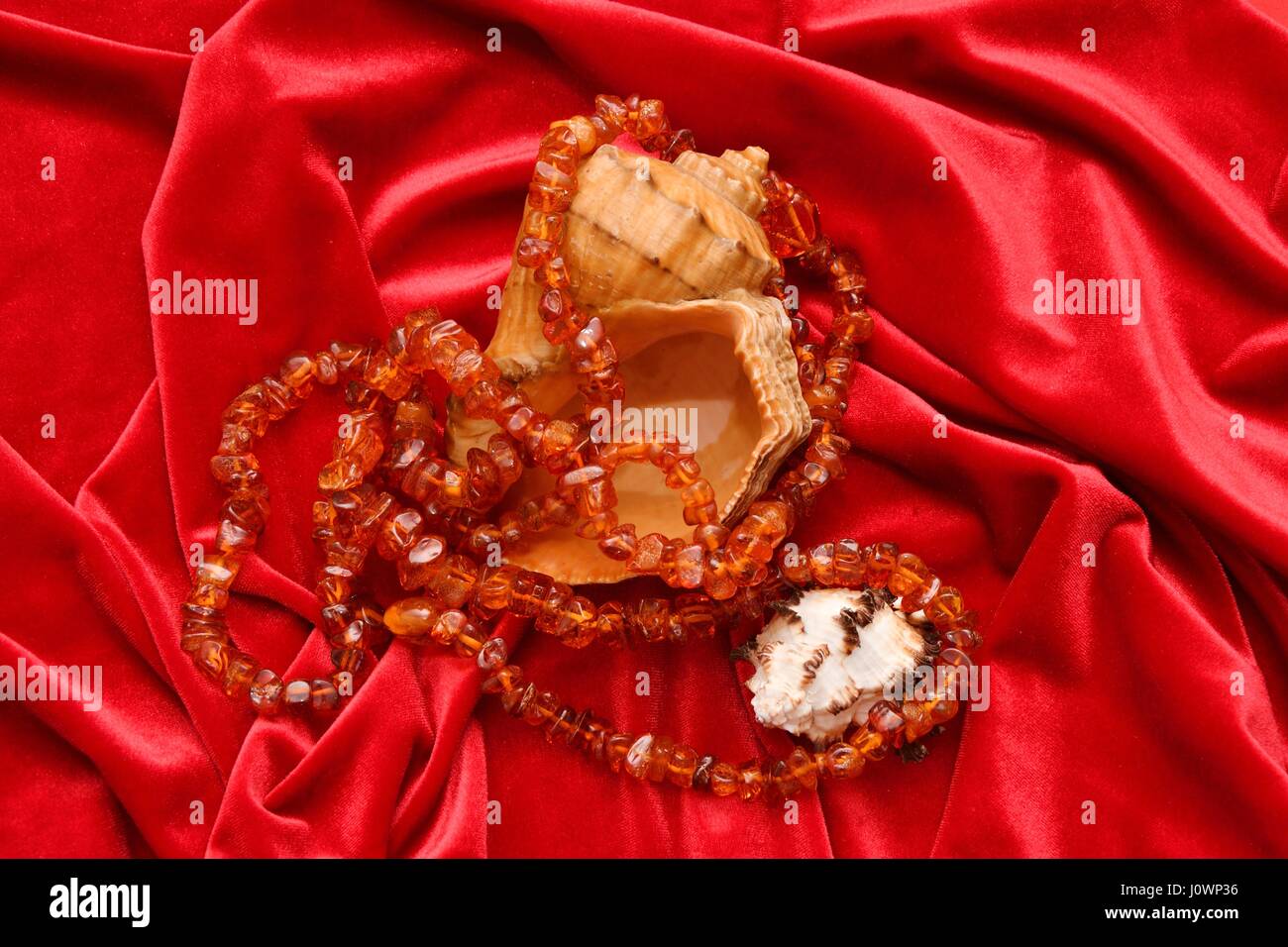 Beads of amber resin curing magical and coniferous trees Stock Photo