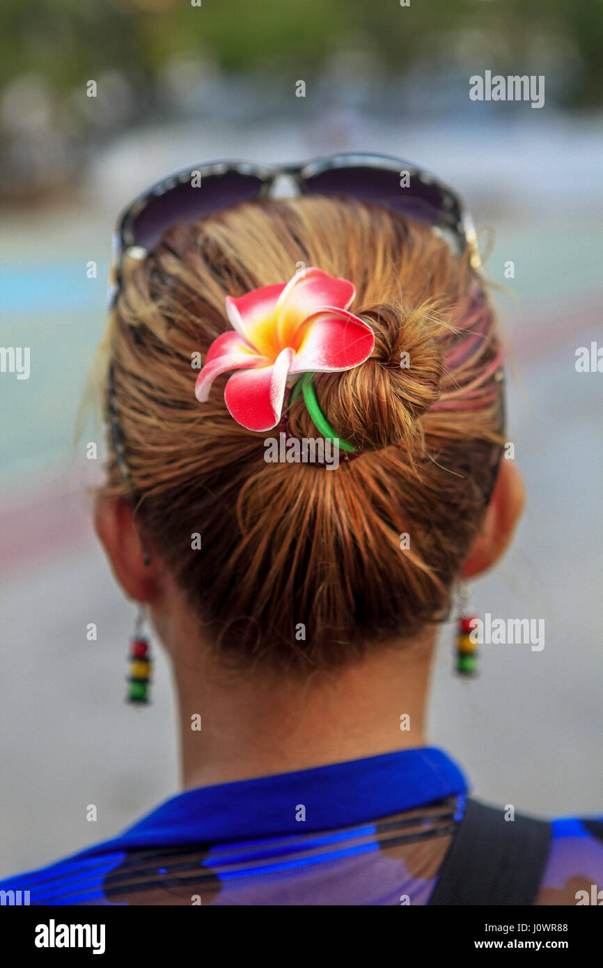 A red Lotus flower attached to the bun in a woman's hair. Stock Photo