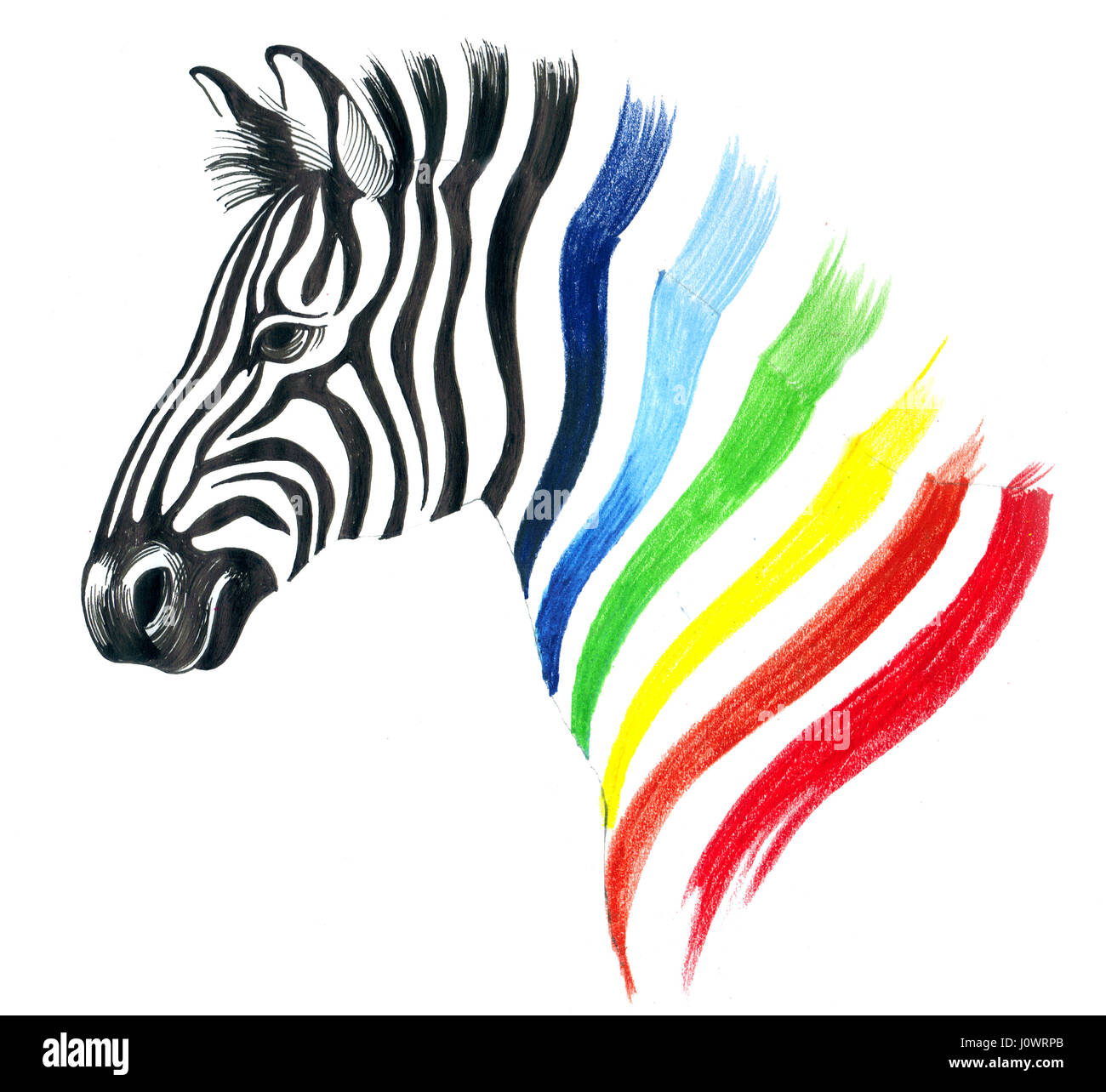 Zebra rainbow hi-res stock photography and images - Alamy