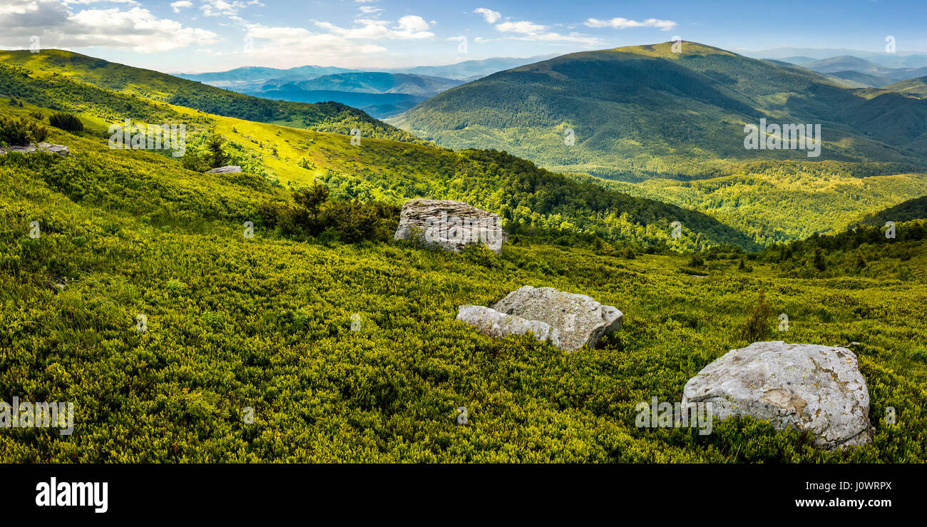huge stones among the grass on top of the hillside meadow near the edge of a mountain. vivid summer panoramic landscape. Stock Photo