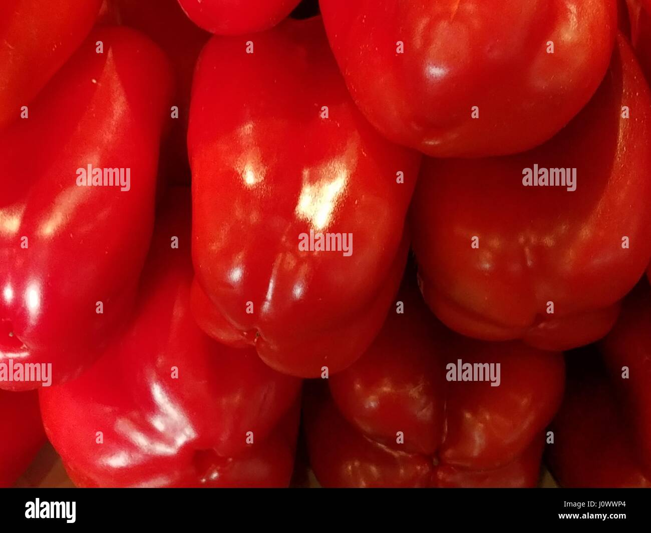 Capsicum organism classification hires stock photography and images
