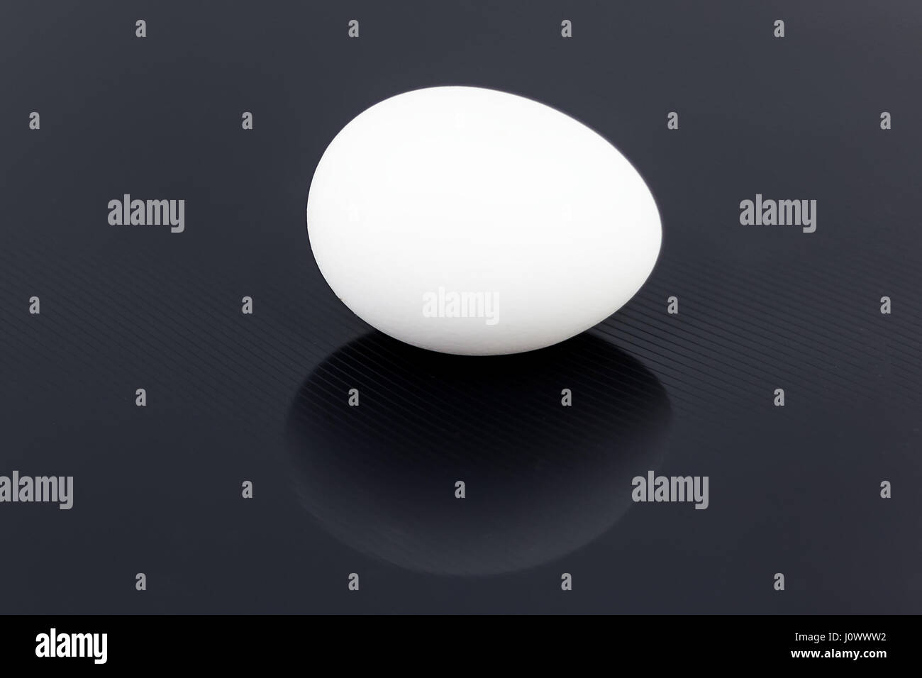 one white chicken egg isolated on black glossy background Stock Photo ...