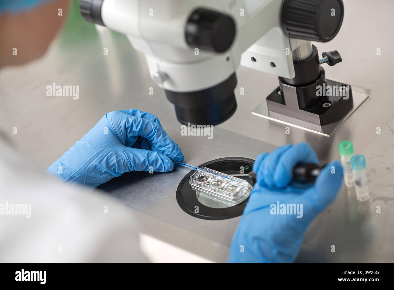 In vitro fertilization hi-res stock photography and images - Alamy