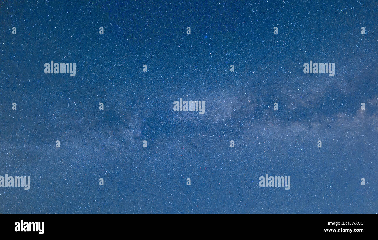 Starry sky over forest hi-res stock photography and images - Alamy