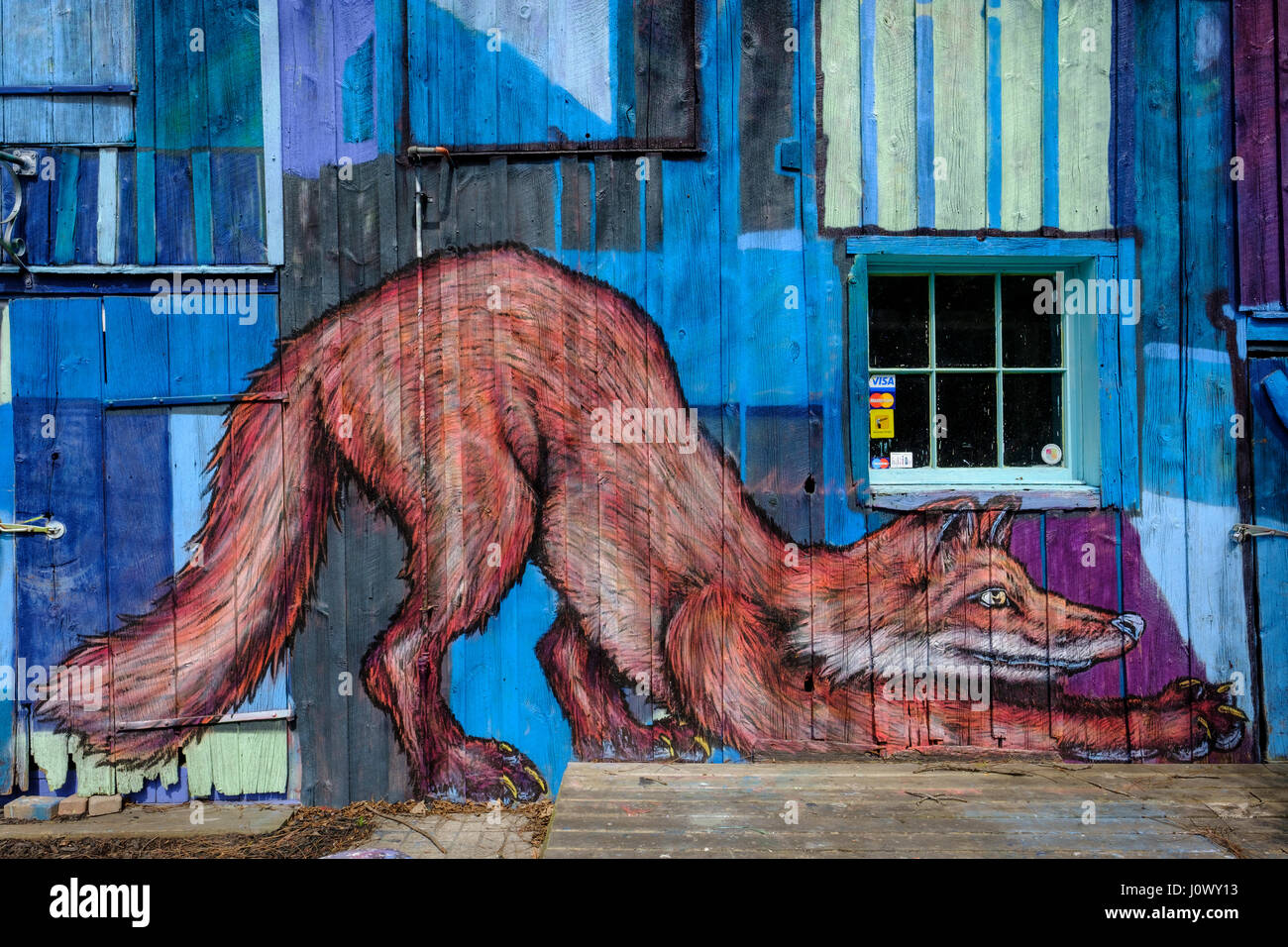 Graffiti art image of a fox painted on a barn wall in the Village of Bayfield, Ontario, Canada. Stock Photo