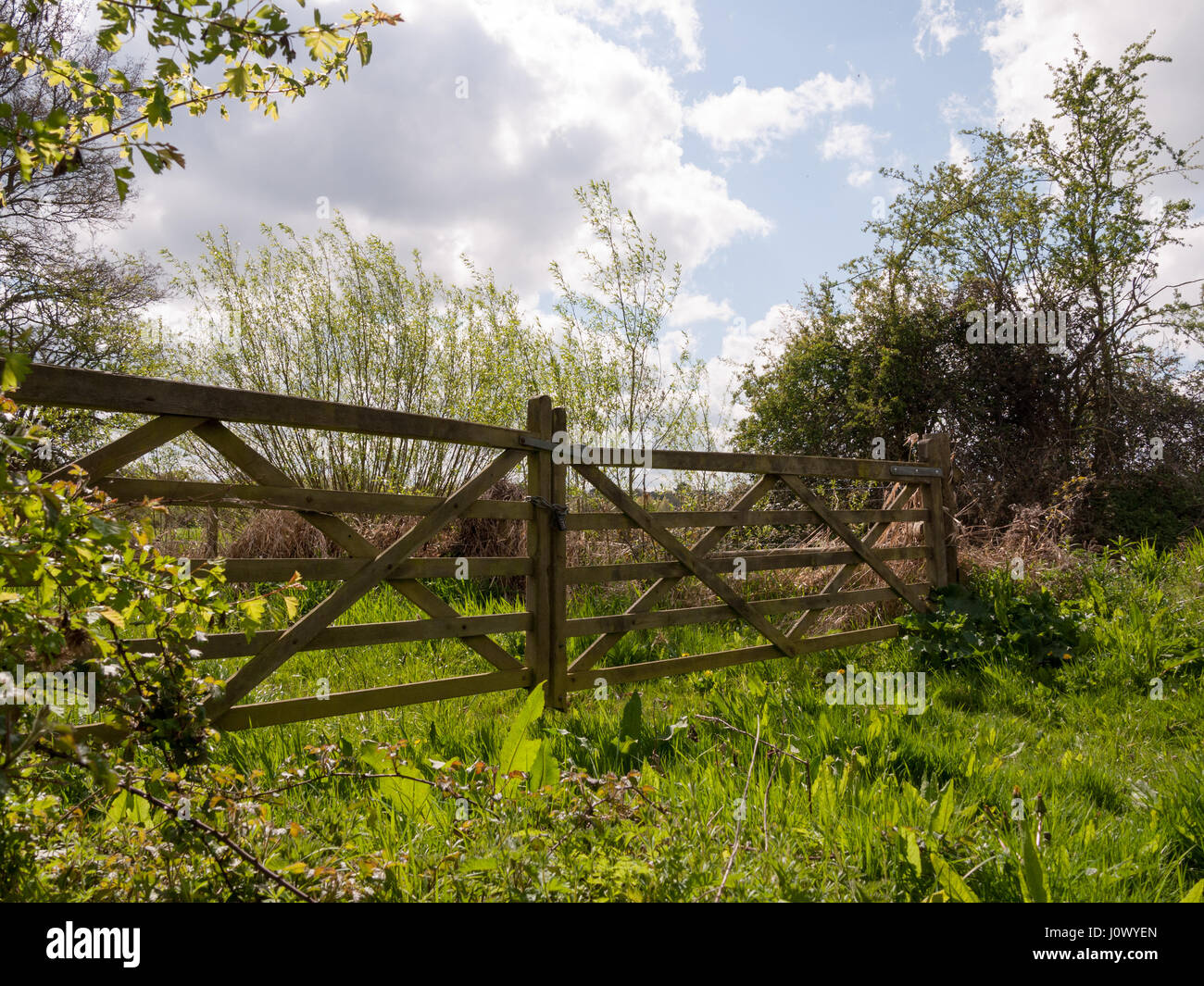 A Glorious and Stunning Wooden Gate and Fence in the Countryside ...