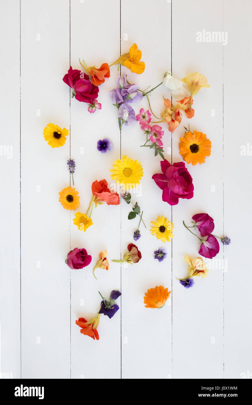 Arrangement of colorful Flowers Stock Photo