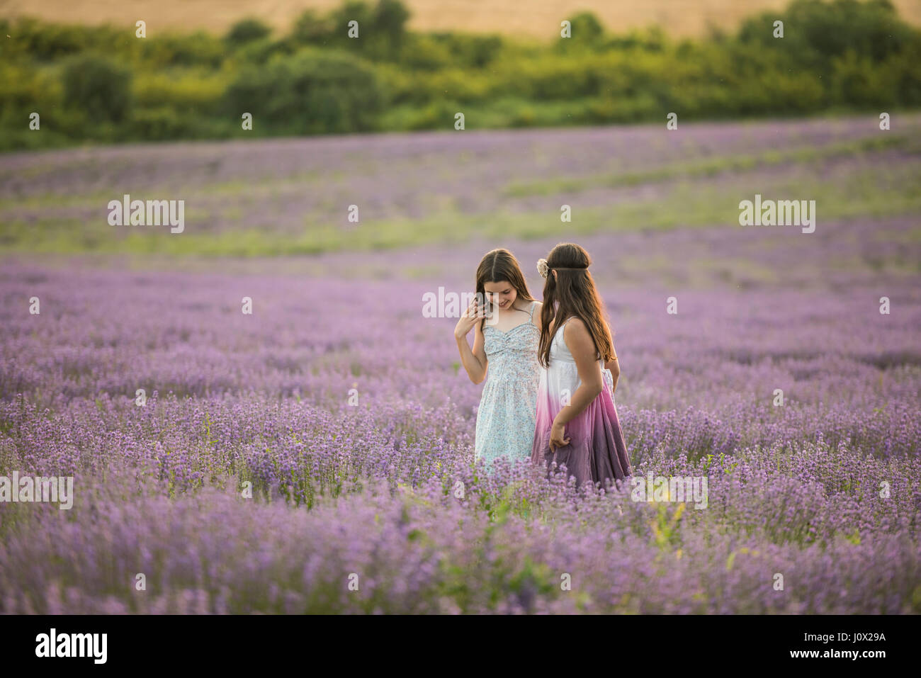 Two girls standing in a lavender field hi-res stock photography and ...