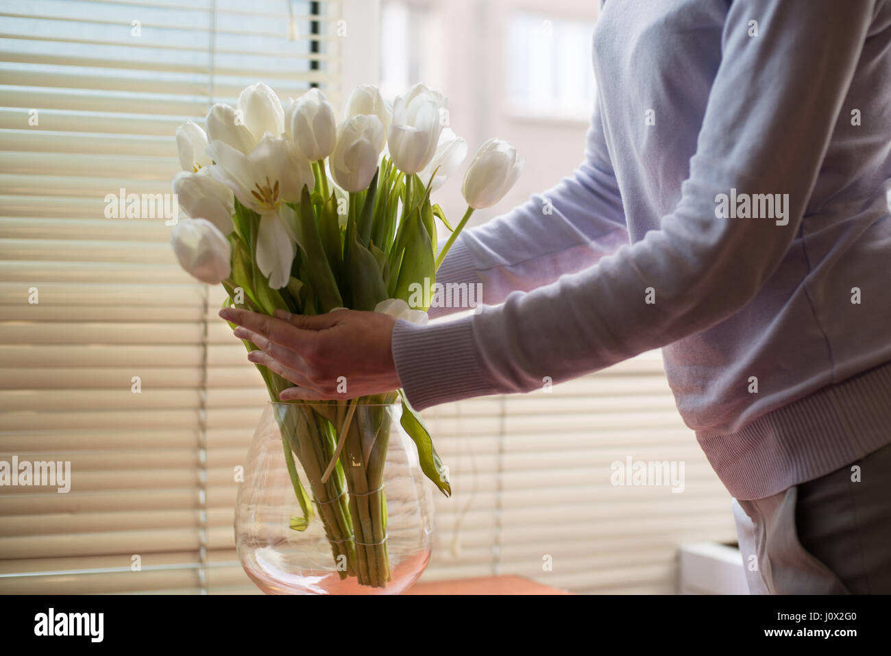 Woman arranging tulips in a vase Stock Photo