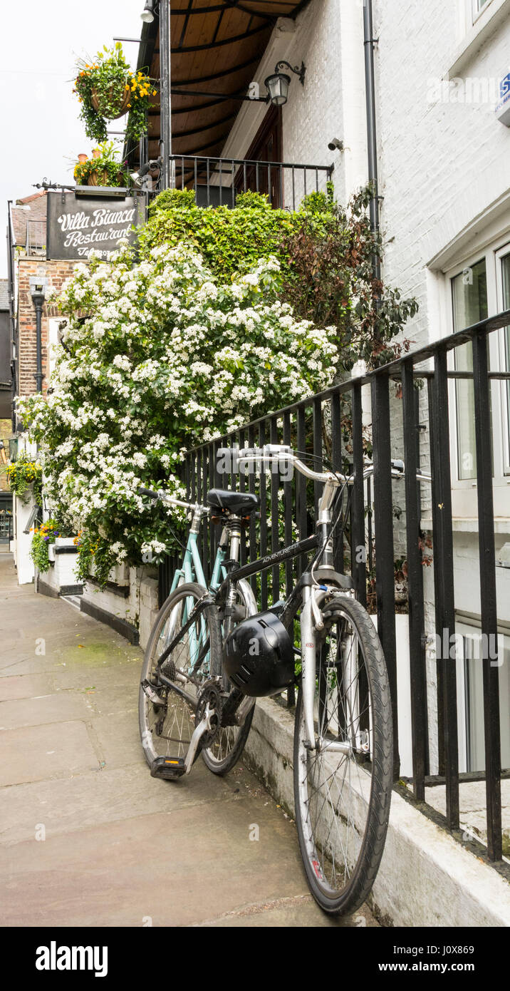 Quaint shops on Perrins Court, Hampstead, London, NW3 Stock Photo