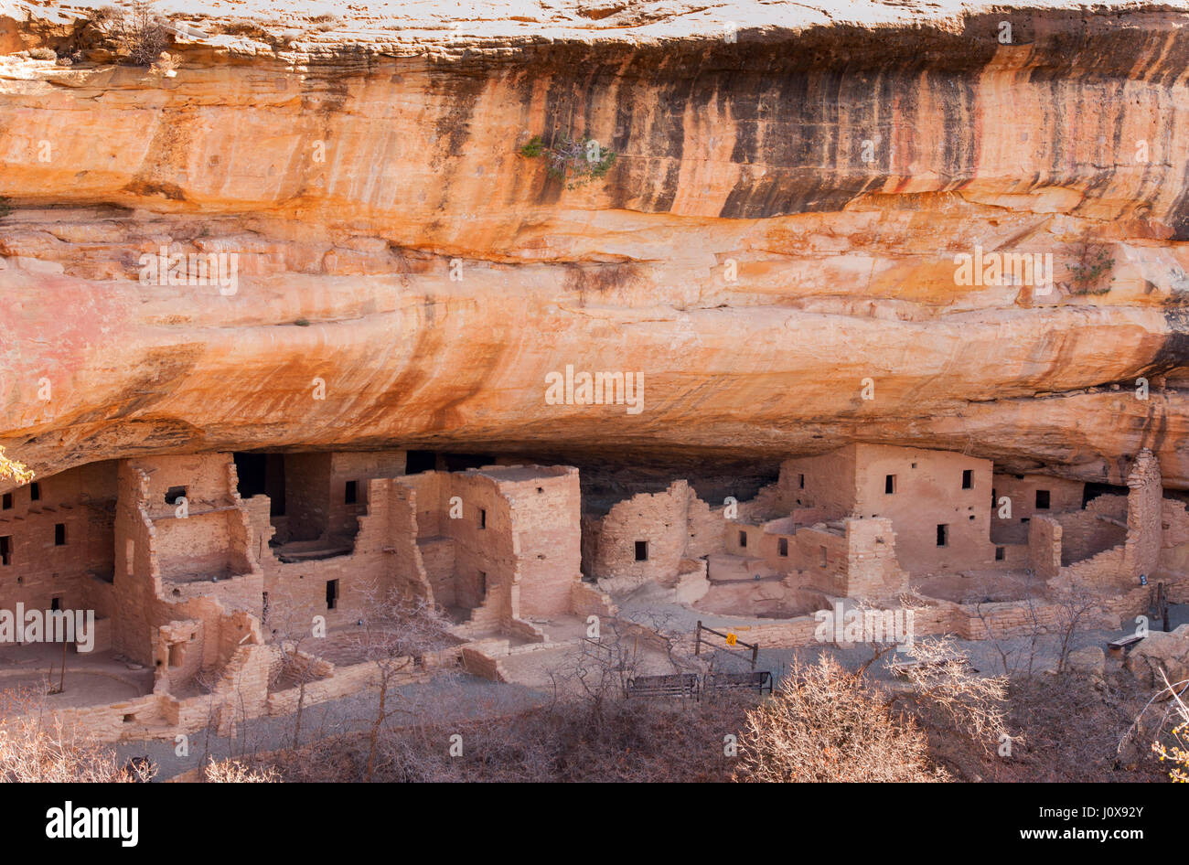 Mesa Verde National Park; Colorado; Spruce Tree House; Native American Ruins; Cliff Dwellings; Hopi Culture. Stock Photo