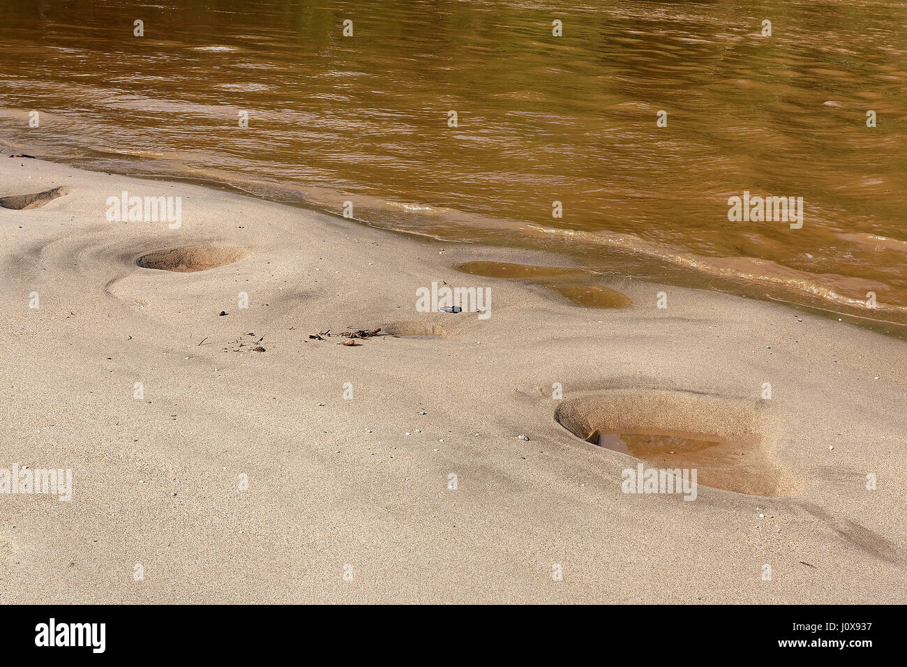 Anzu hi-res stock photography and images - Alamy