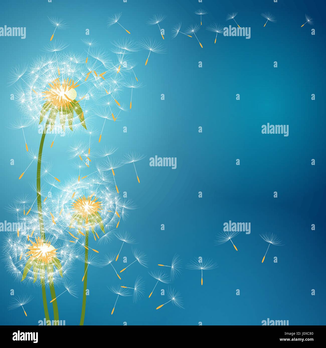 Dandelion flower with seeds flying away with the wind - vector spring background Stock Vector