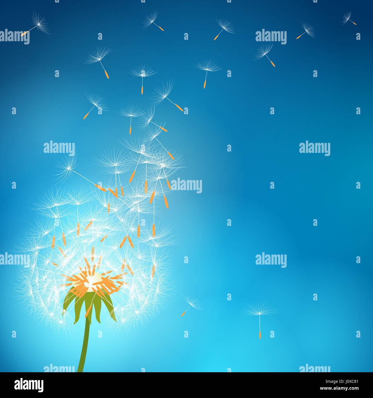 Dandelion with seeds flying away with the wind - vector flower Stock Vector