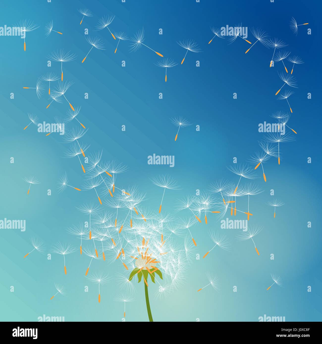 Vector dandelion with seeds flying away with the wind forming love Stock Vector