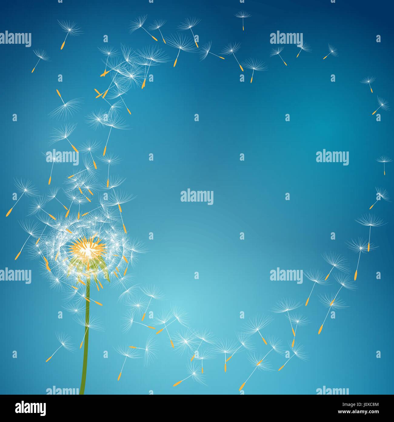 Dandelion flower with seeds flying away with the wind - vector love summer spring background Stock Vector