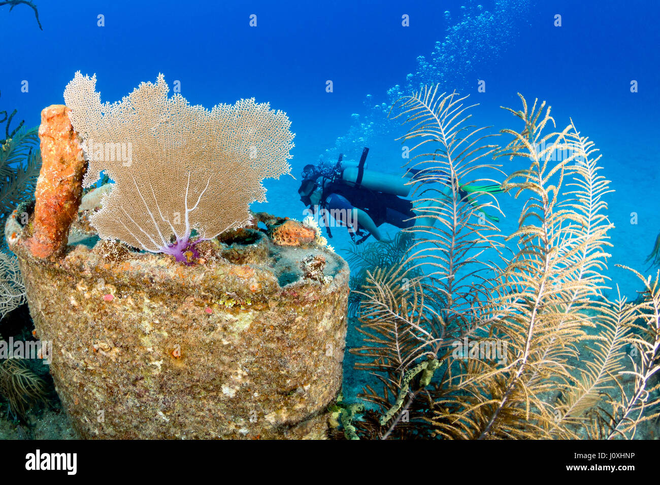Ship wreck scuba dive around hi-res stock photography and images - Alamy