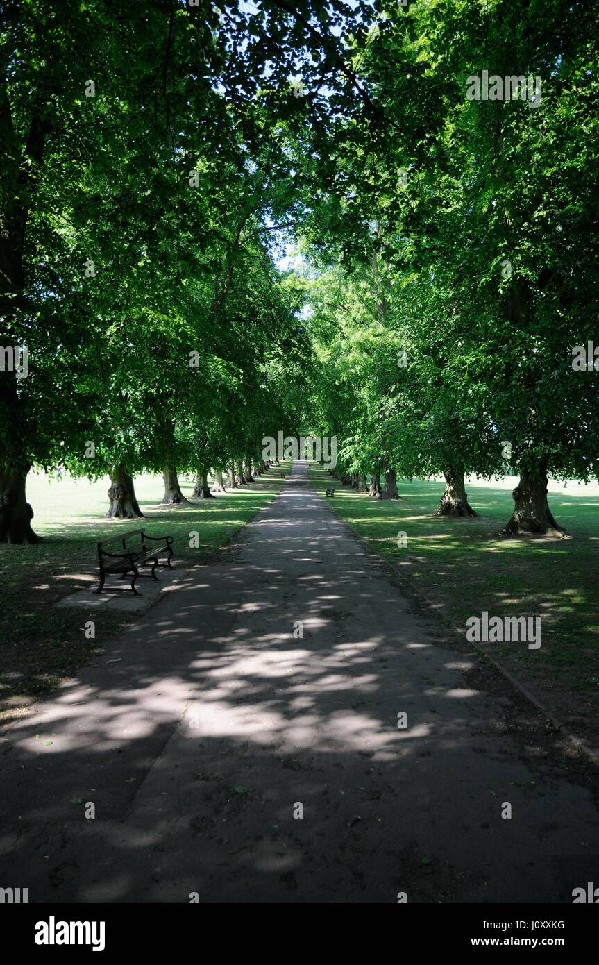 Rothamsted Park, Harpenden, Hertfordshire, is an attractive park Stock