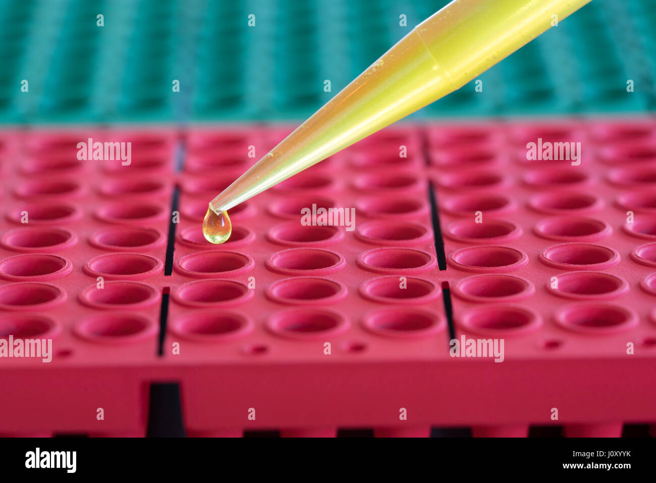 Microtiter plate in laboratory Stock Photo Alamy