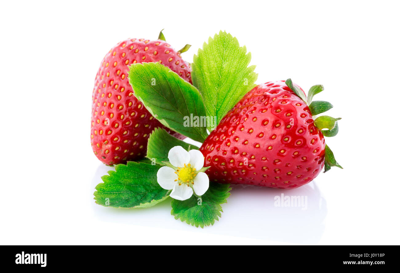 strawberry on isolated white background Stock Photo - Alamy