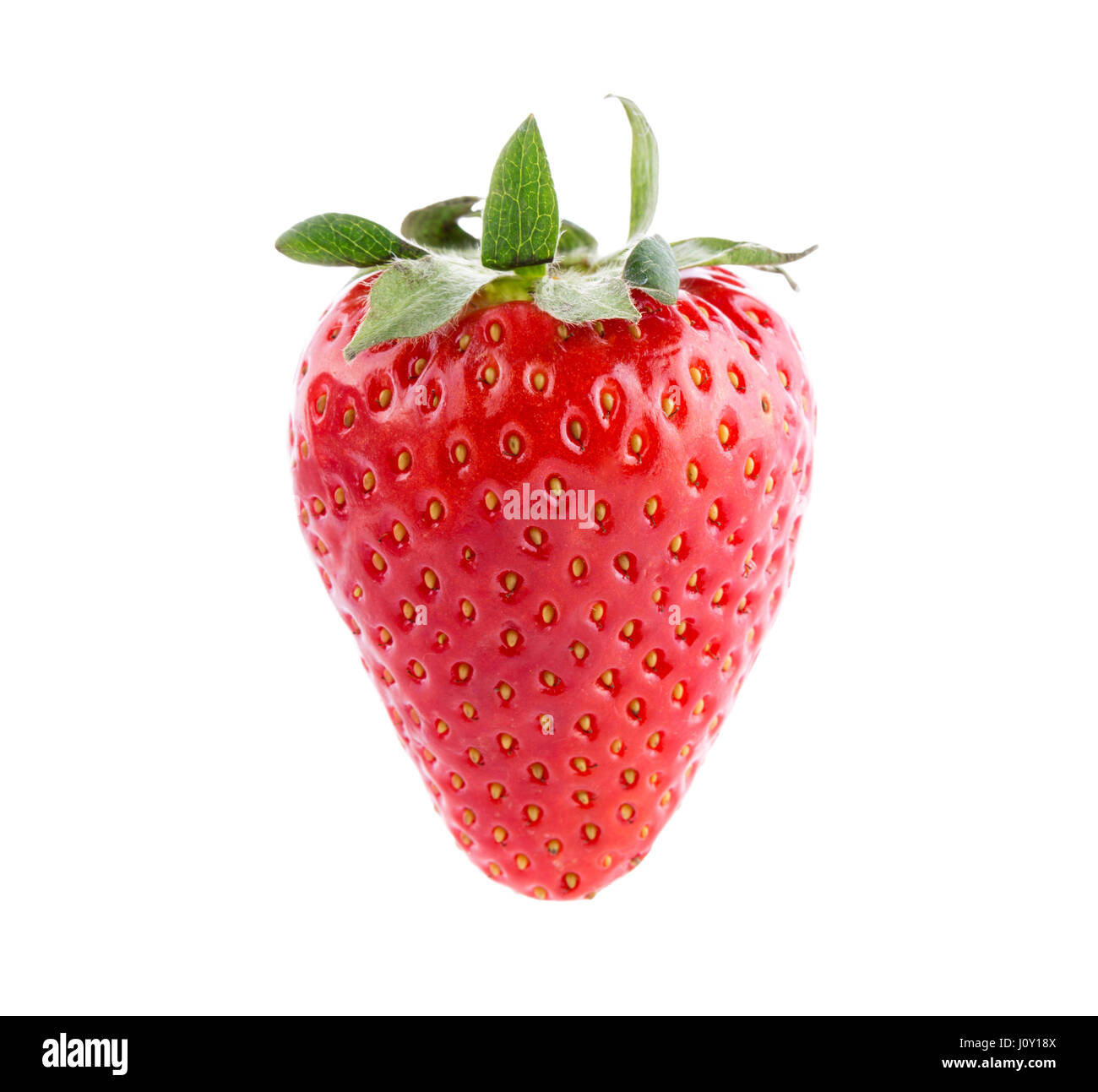 One ripe wild strawberry Cut Out Stock Images & Pictures - Alamy