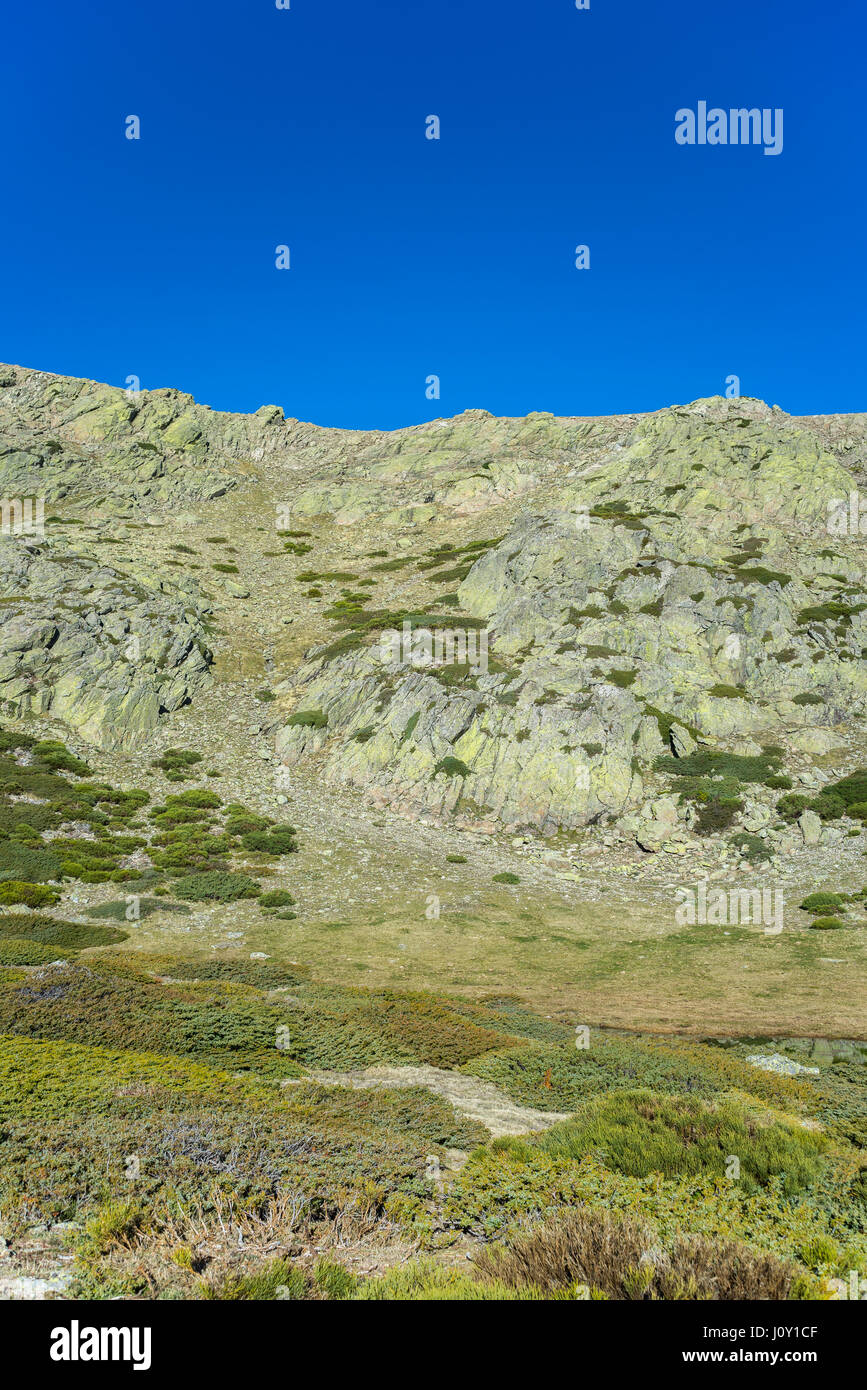 Padded brushwood (Cytisus oromediterraneus and Juniperus communis) next to the Pico del Nevero (Snowfield Peak; 2.209 metres), in Guadarrama Mountains Stock Photo