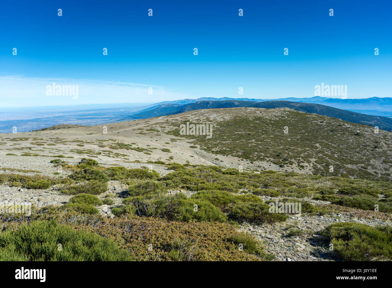 Padded brushwood (Cytisus oromediterraneus and Juniperus communis) located between the Pico del Nevero (Snowfield Peak; 2.209 metres) and Navafria Stock Photo