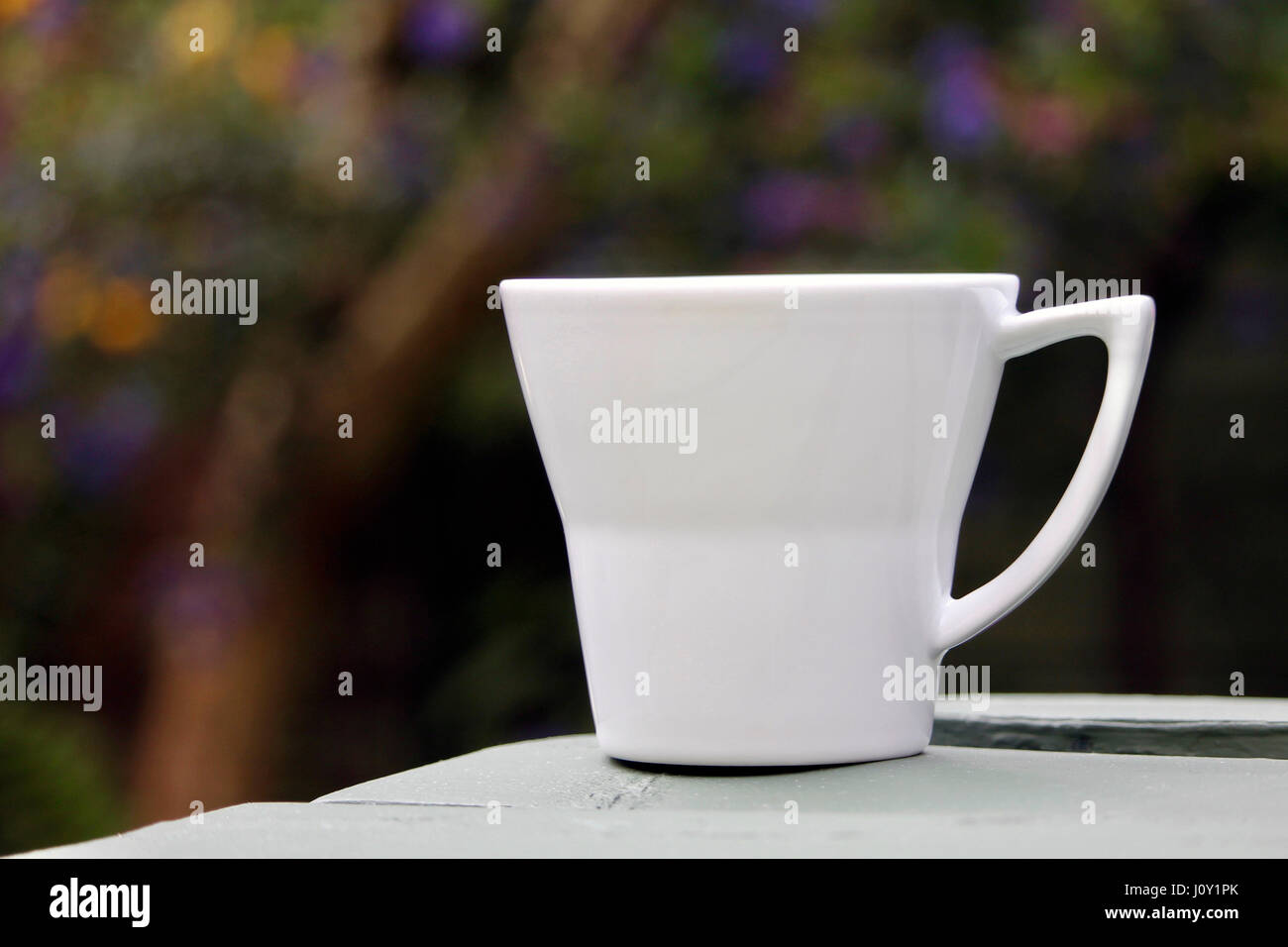 White tea cup Stock Photo Alamy