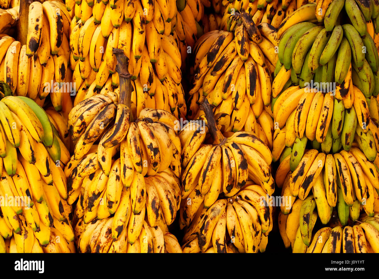 Bananas in the market in Otavalo, Ecuador Stock Photo Alamy