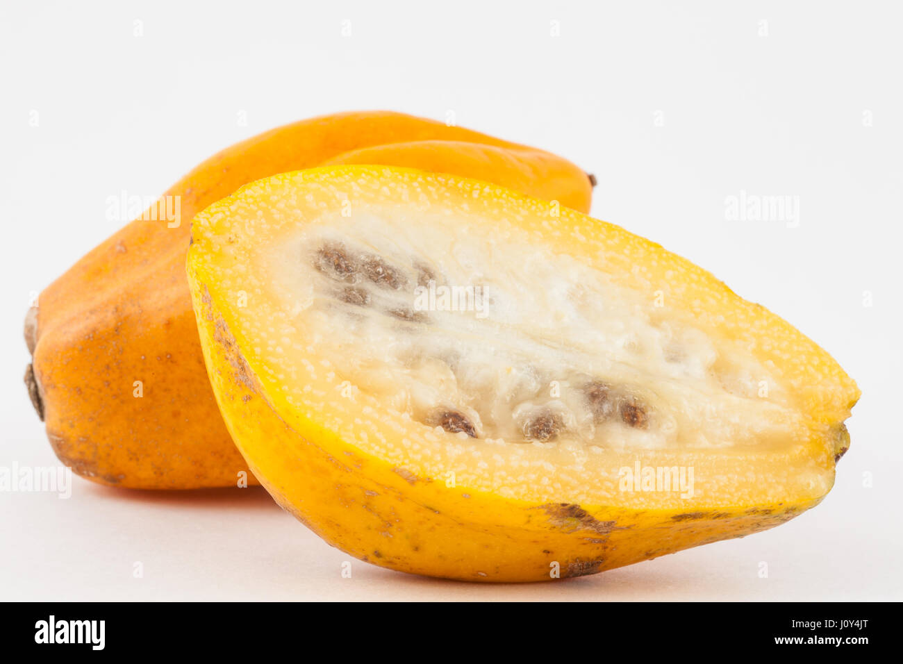 Mountain papaya (Vasconcellea pubescens) isolated in white background
