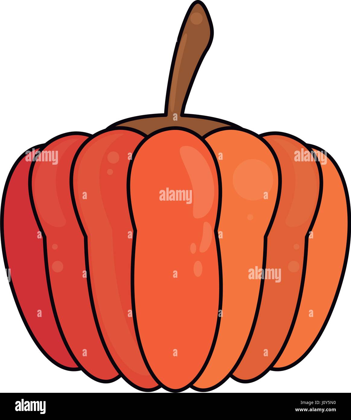 pumpkin vegetable food fresh Stock Vector Image & Art - Alamy