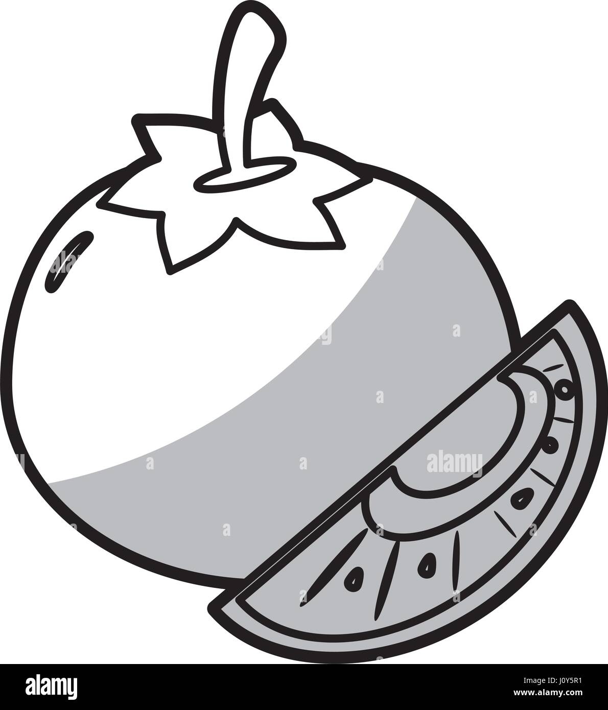 tomato slice food nutrition shadow Stock Vector Image & Art Alamy