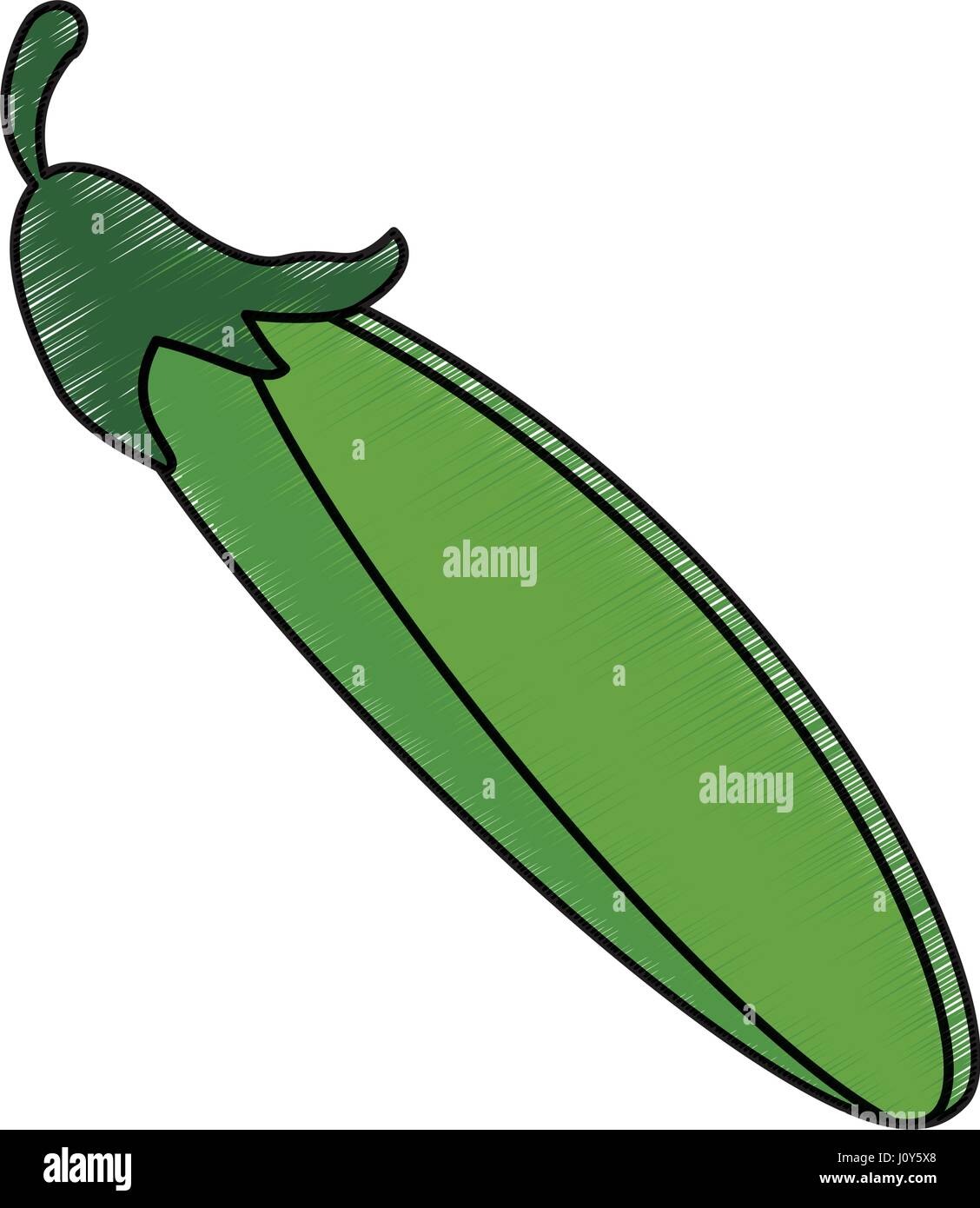 drawing chili pepper spice food Stock Vector Image & Art Alamy