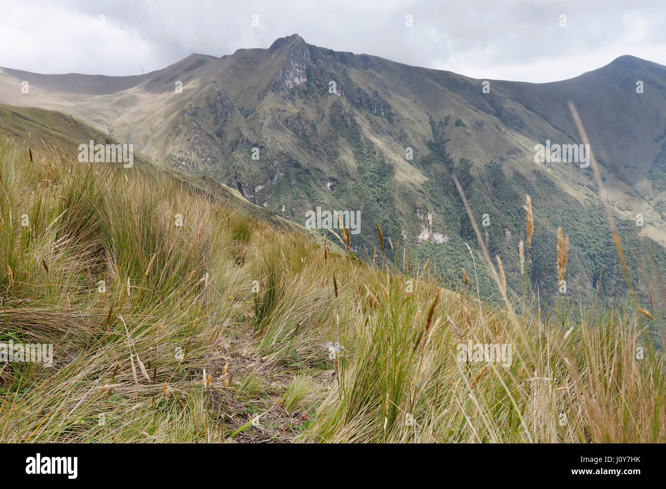 Andes mountains near Quito, Ecuador Stock Photo Alamy