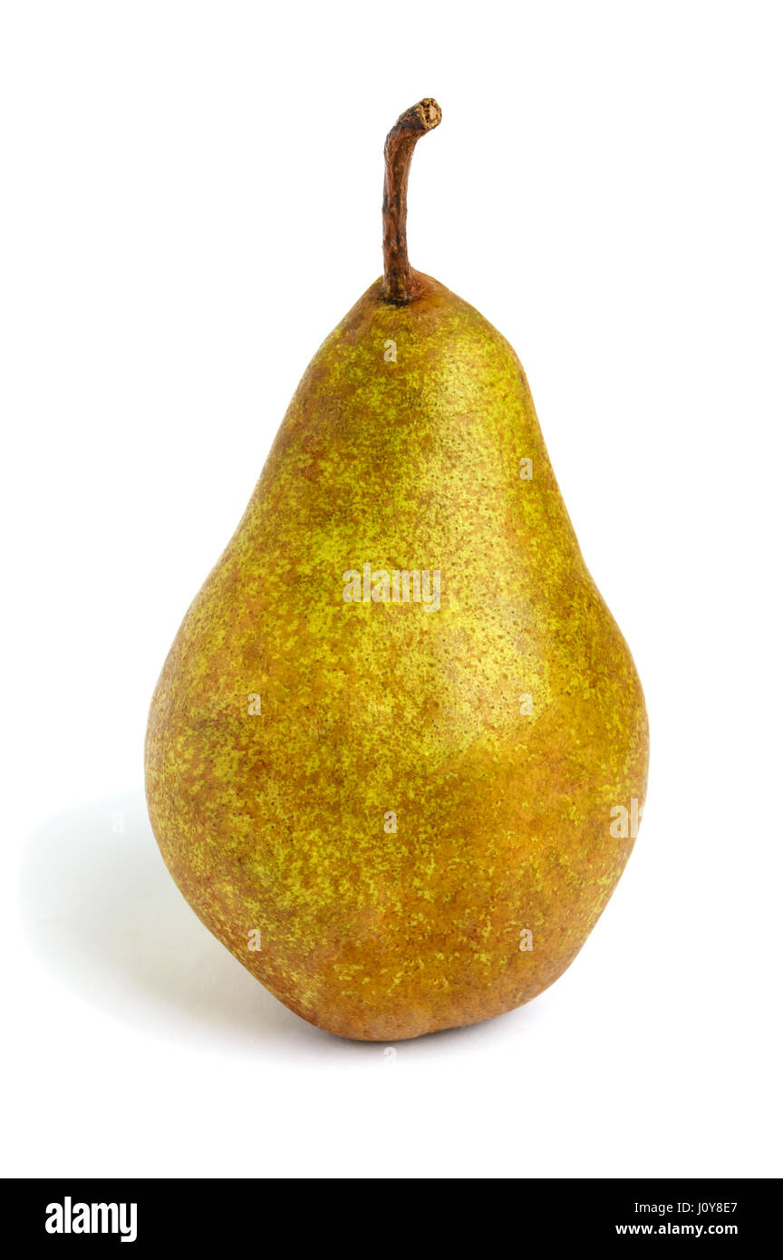 A large yellow (brown) pear stands straight isolated on a white
